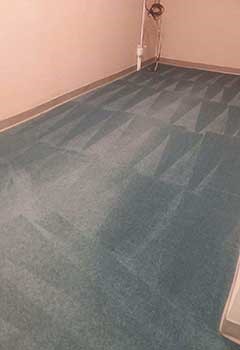 Quick Carpet Stain Removal For Pecan Grove Bedroom