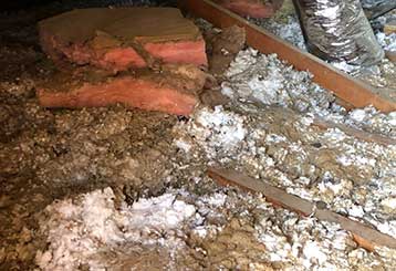 Crawl Space Cleaning | Duct & Attic Cleaning Experts Near Tomball, TX Crawl Space Cleaning | Duct & Attic Cleaning Experts Near Tomball, TX