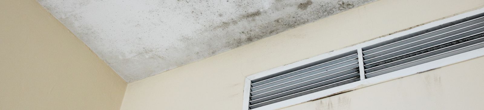 Mold and moisture in the corner of the living room